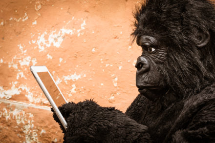 Do You Need Glass Protector For Gorilla Glass?